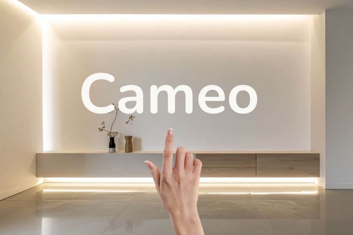 openai pas utiliser mot cameo application sora